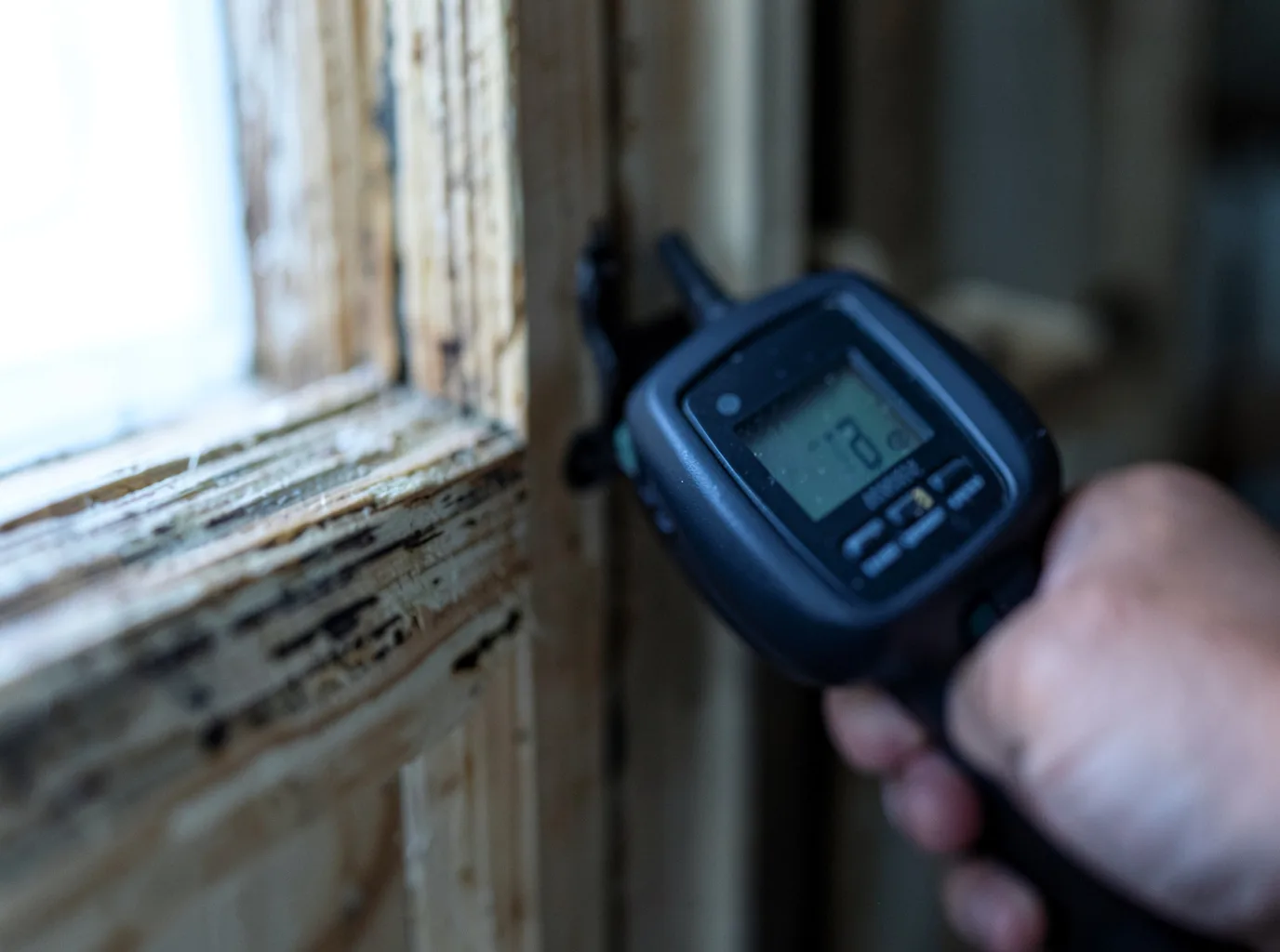 Moisture Inspection And Documentation in Davenport, FL
